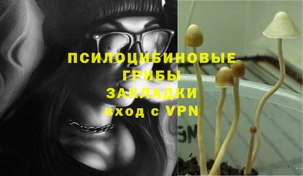 трава Нея