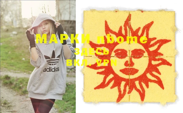 индика Михайлов