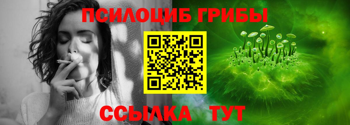 Псилоцибиновые грибы мухоморы  Вход с VPN  Лесозаводск 